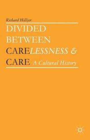 Knjiga Divided between Carelessness and Care R. Hillyer