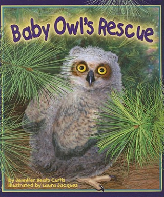 Könyv Baby Owl's Rescue Jennifer Keats Curtis