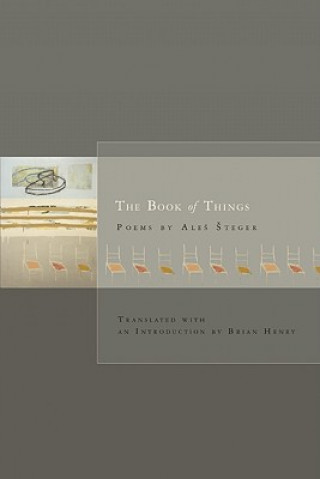 Könyv Book of Things Ales Steger