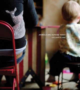 Libro Colleen Plumb - Animals are Outside Today Lisa Hostetler