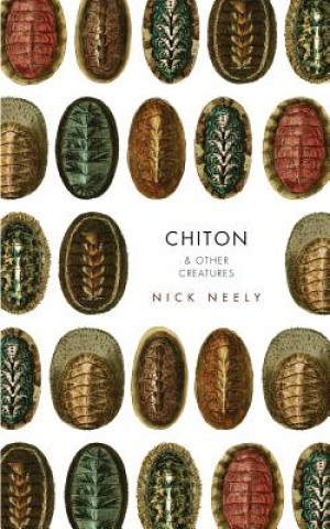 Libro Chiton & Other Creatures Nicholas Neely