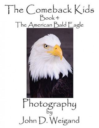 Książka Comeback Kids, Book 4, The American Bald Eagle Penelope Dyan