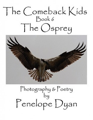 Kniha Comeback Kids, Book 6, The Osprey Penelope Dyan