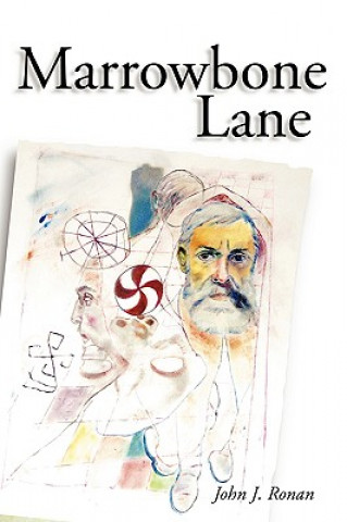Книга Marrowbone Lane John J. Ronan