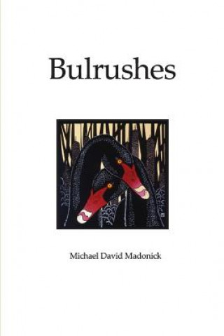 Buch Bulrushes Michale Madonick