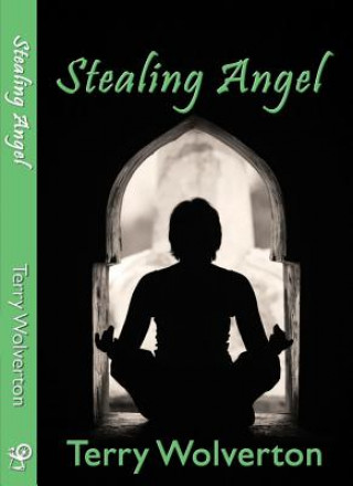 Knjiga Stealing Angel Terry Wolverton