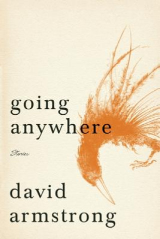 Kniha Going Anywhere David Armstrong