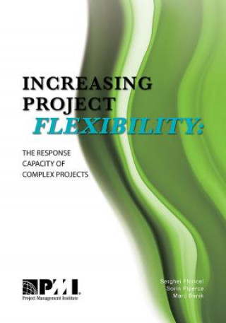Könyv Increasing Project Flexibility Serghei Floricel