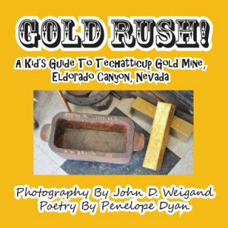 Book Gold Rush! a Kid's Guide to Techatticup Gold Mine, Eldorado Canyon, Nevada Penelope Dyan