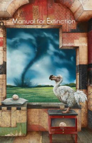 Buch Manual for Extinction Caroline Manring