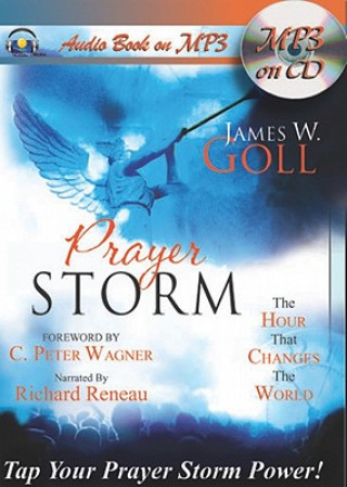 Digital Prayer Storm: The Hour That Changes the World Richard Reneau