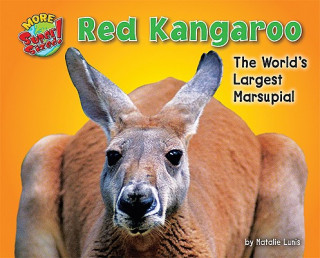 Kniha Red Kangaroo: The World's Largest Marsupial Natalie Lunis