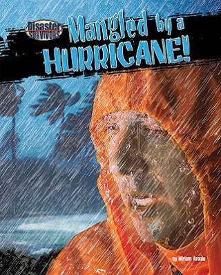 Kniha Mangled by a Hurricane! Miriam Aronin