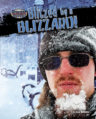 Könyv Blitzed by a Blizzard! Joyce L. Markovics