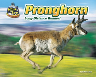 Kniha Pronghorn: Long-Distance Runner! Natalie Lunis