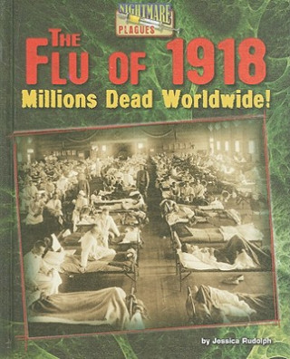 Kniha The Flu of 1918: Millions Dead Worldwide! Jessica Rudolph