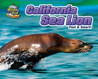 Buch California Sea Lion: Fast & Smart! Natalie Lunis