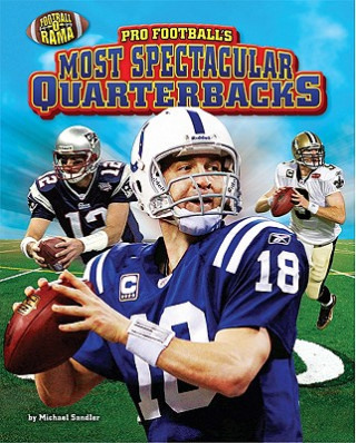 Könyv Pro Football's Most Spectacular Quarterbacks Michael Sandler
