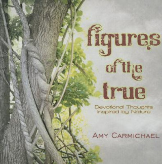 Könyv FIGURES OF THE TRUE Amy Carmichael