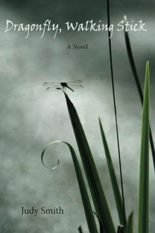 Книга Dragonfly, Walking Stick Judy R. Smith