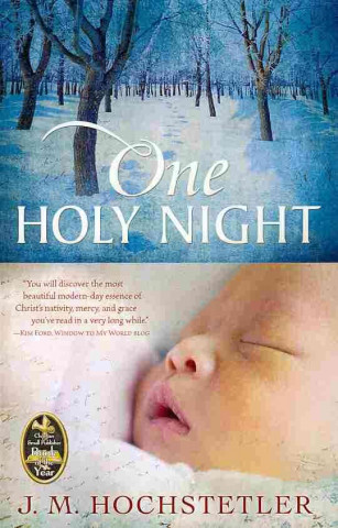 Knjiga One Holy Night J. M. Hochstetler