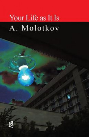 Buch Your Life as It Is A. Molotkov