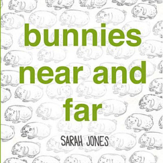 Kniha Bunnies Near and Far Sarah Jones