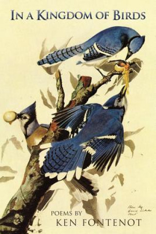 Carte In a Kingdom of Birds Ken Fontenot