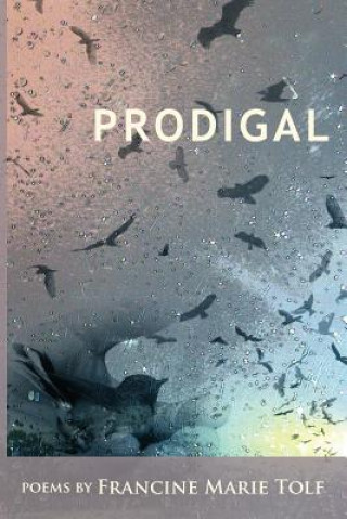 Buch Prodigal Francine Marie Tolf
