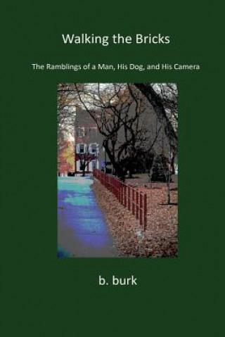 Knjiga Walking the Bricks B. Burk