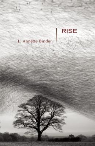 Knjiga Rise L. Annette Binder