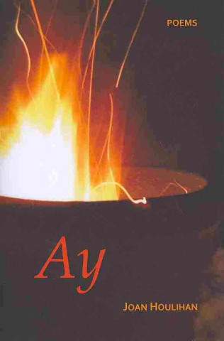 Libro Ay Joan Houlihan