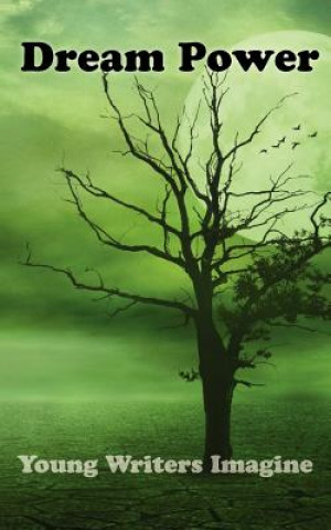 Kniha Dream Power Kate Wolf