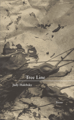Kniha Tree Line Judy Halebsky