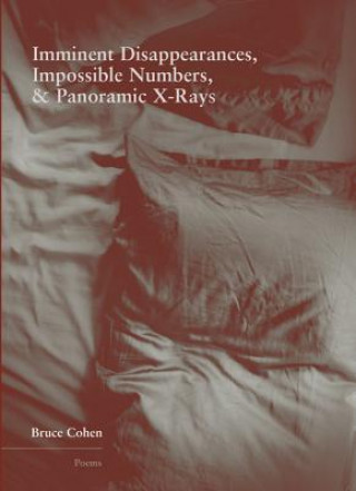 Boek Imminent Disappearance, Impossible Numbers, & Panoramic X-Rays Bruce Cohen