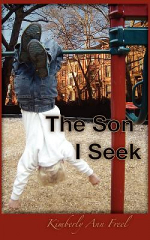 Book The Son I Seek Kimberly Ann Freel