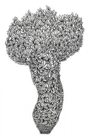 Boek Cabbage Language Robert Duncan Gray