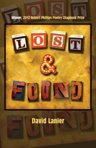 Livro Lost & Found David Lanier