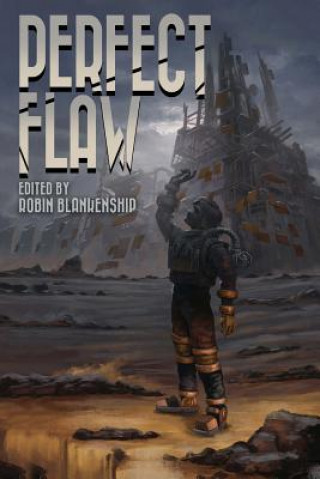 Knjiga Perfect Flaw Robin Blankenship