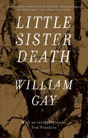 Könyv Little Sister Death William Gay