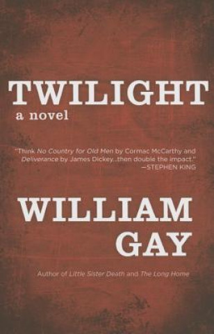 Kniha Twilight William Gay
