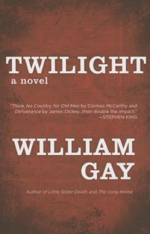 Βιβλίο Twilight William Gay