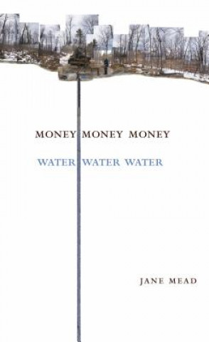 Книга Money Money Money Water Water Water: A Trilogy Jane Mead