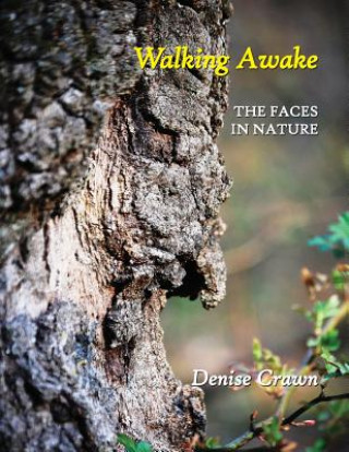 Kniha Walking Awake Denise Crawn