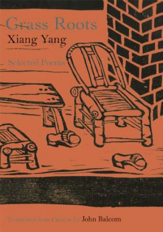 Könyv Grass Roots Xiang Yang