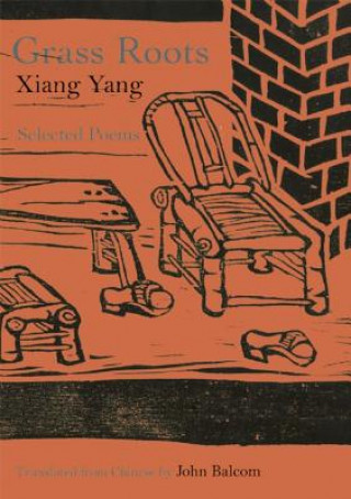 Libro Grass Roots Xiang Yang