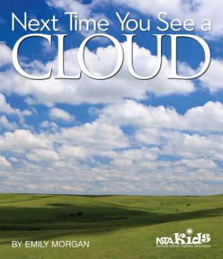 Kniha Next Time You See a Cloud Emily Morgan