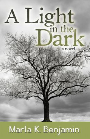 Livre A Light in the Dark Marla Benjamin