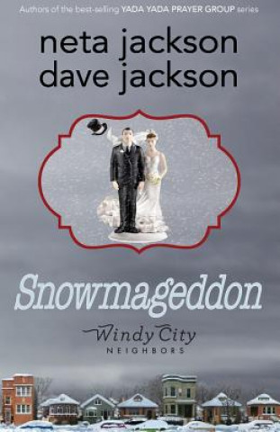 Kniha Snowmageddon Dave Jackson
