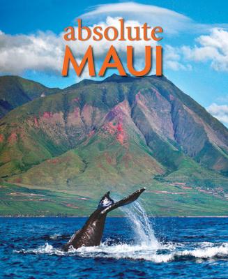 Kniha Absolute Maui Tom Stevens